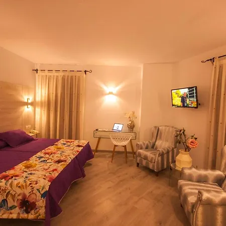 Hotel Hc Zoom-3